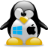 osfirsttimer.wiki icon
