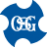 osg.com.br icon