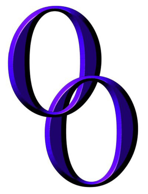 ospreyobserver.com icon