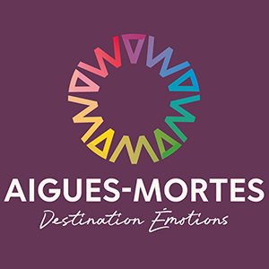 ot-aiguesmortes.com icon