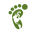 ourecofriendlylife.com icon