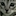 OverTheWire favicon