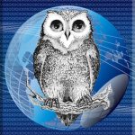 owlnetwork.com icon