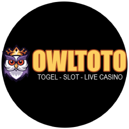 owltotoyok.com icon