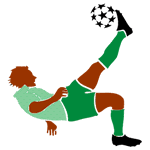 owngoalnigeria.com icon