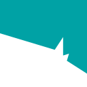 ozchi.org icon