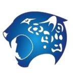 ozelotmedia.com icon