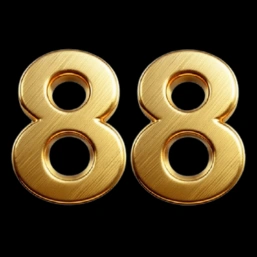 p0ker88wins.net icon