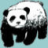 p14nd4.com icon