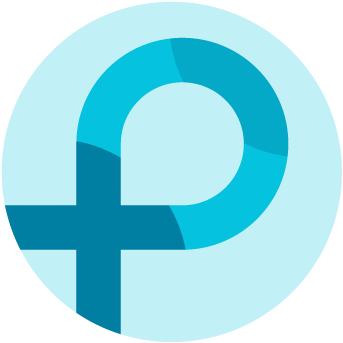 p2c.com icon