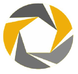 paakkunainengroup.fi icon