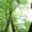 paartherapie-landshut.info icon