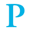 pacerpro.com icon