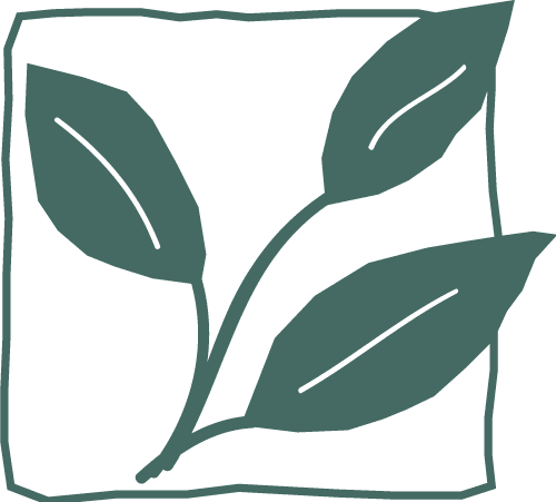 pacificoutdoorliving.com icon