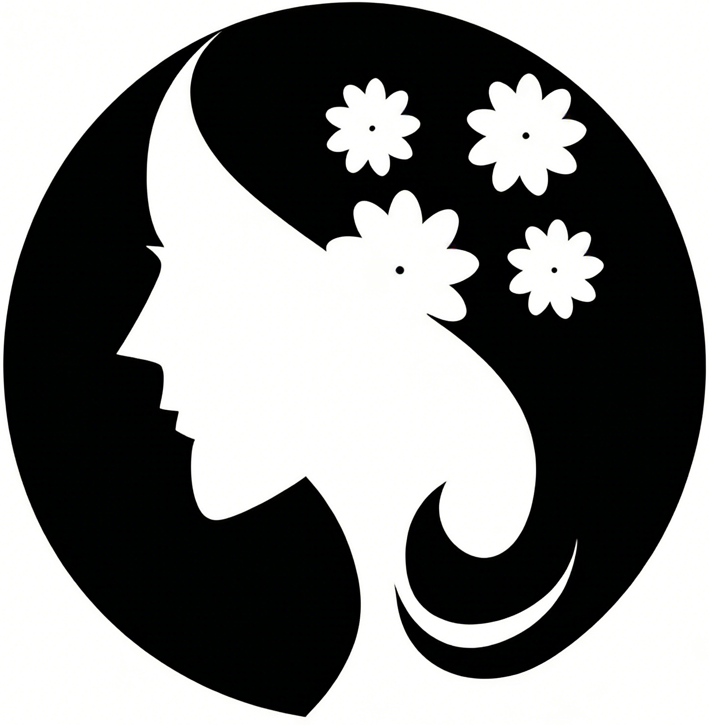 pafeir.com icon