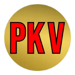 pafikotadompu.org icon
