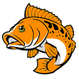 pafipemdasurabaya.org icon