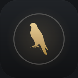 pagehawk.com icon
