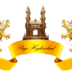 pagehyderabadnews.com icon