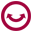 pagelift.com icon