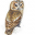 paideia-news.com icon