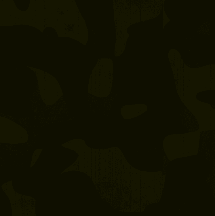 paintballmadrid.net icon