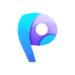 pairtoppers.com icon