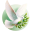 pakpigeonclub.com icon