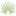 palmeravacationclub.com icon