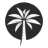 PALM CAPITAL logo