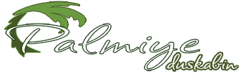 palmiyedusakabin.com icon