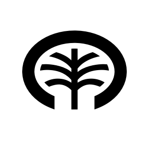 palmsignature.ae icon