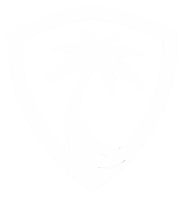 palmvpn.club icon