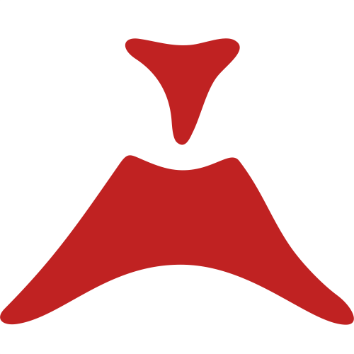 palukiznin.pl icon