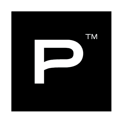 Team Panamera logo