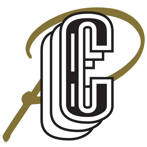 pantuflascordoba.com icon