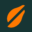 papayasearch.com icon