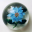 paperweights.com icon
