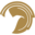 paradisecopters.com icon