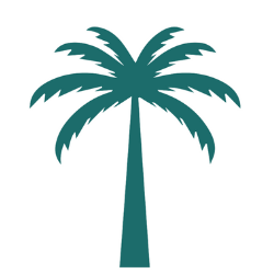 paradiserealtyfla.com icon