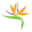 paradiseretreats.com icon