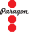 paragonweb.com icon