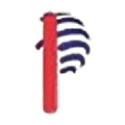 paramountweb.com icon