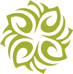 parcelacionnovayanna.com icon