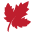 pardons.org icon