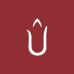 parfumane.com icon