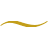 parfumflowercompany.com icon