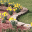 parilivermorecommunitygardens.com icon