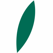 park1964.com icon