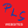 parklaneservices.biz icon